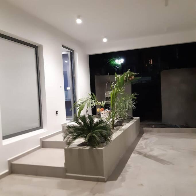 Palm Villas Sainte-Anne  Εξωτερικό φωτογραφία